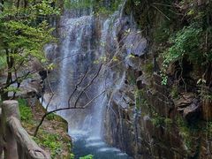 -大鄣山卧龙谷景区
