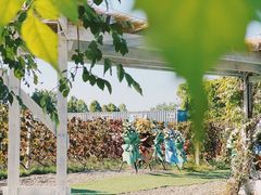 -安德鲁户外烧烤帐篷营地(马泉营店)