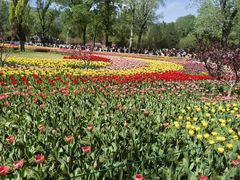 -国家植物园南园