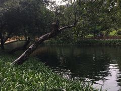 -晓港公园