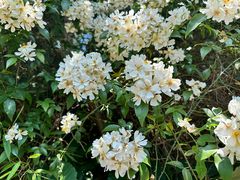 -东山风景区(洞庭东山)