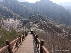 -大岭沟猕猴桃谷风景区