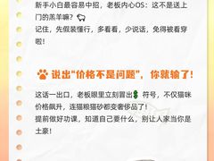 -lincat·猫舍(广州店)