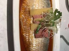酒香大鲥鱼-丰收日(五角场店)
