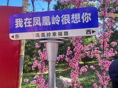 -北京凤凰岭