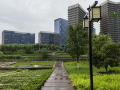 -西海子公园