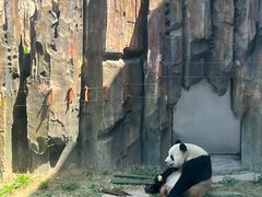 -大连森林动物园