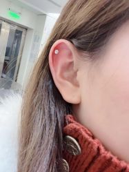 -花师傅