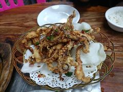 椒盐鱿鱼须-广宁炭炉鸡煲·富临门饭店