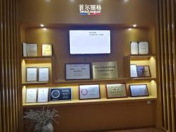 -上海首尔丽格医疗美容医院