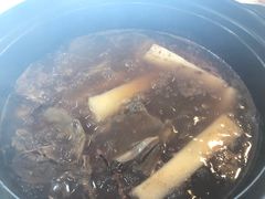 -一煲鸽