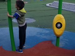 -永定河休闲森林公园