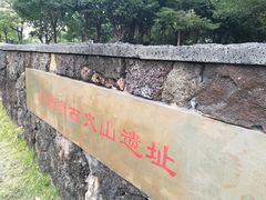 -王借岗森林公园