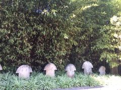 iphone_upload_pic-圆通禅寺