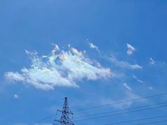 -姜山乳鸽(姜山店)