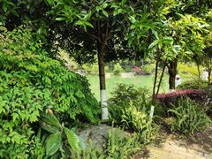 -铁山坪森林公园