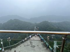 -大金鹰园