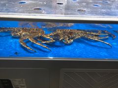 -嘉荣超市(清远万达店)