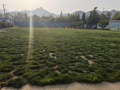 -趣玩宠物乐园寄养训犬训狗游泳池