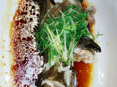 -顺德了能馆(虎门店)