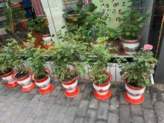 -永安里地摊烤肉(首创店)