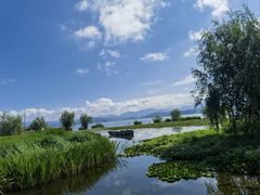 -洱海月湿地公园