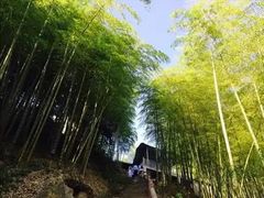 -藏龙百瀑风景区