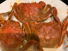 -蓝钻·国际美食海鲜自助百汇(西直门店)