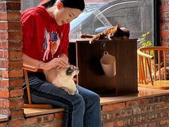 -豆逗聊愈猫阁Easy Life