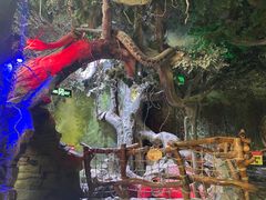 -多彩贵州城极地海洋世界