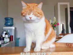 -欢牛蛋糕屋(萧山万象汇店)