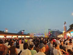 -丁香湖公园
