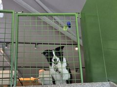 -爪吧宠物乐园 (温榆河示范区店)