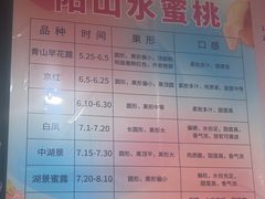 -老袁家蜜桃农场·阳山水蜜桃