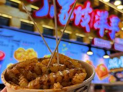 -周小亮丁家坡洋芋(全国总店)