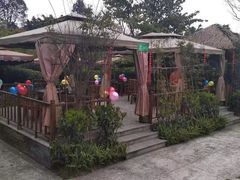 -二荆条·蜀鲜汇城市森林火锅