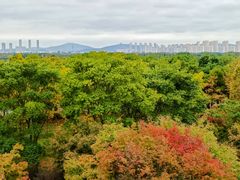 -贡湖湾湿地公园