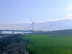 -南汇嘴观海公园