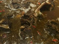 -香满锅老北京羊蝎子火锅·家常菜(新街口店)