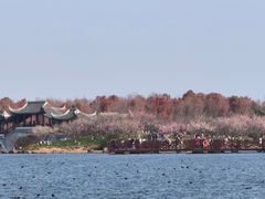 -上海海湾国家森林公园