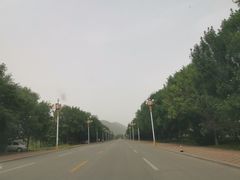 -清东陵