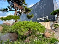 -罗红摄影艺术馆