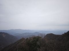 -栾川竹海野生动物园