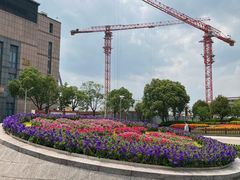 -复旦大学附属眼耳鼻喉科医院(浦江院区)