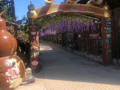 景点-呀路古热带植物园
