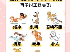 -佩兹宠物医院肿瘤专科·眼科·牙科(黄浦店)