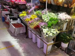 -金旭菜市场