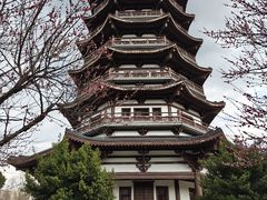 -洋湖国家湿地公园