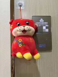 -大连新百佳妇儿医院