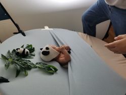 -马克叔叔的照相馆(东门店)